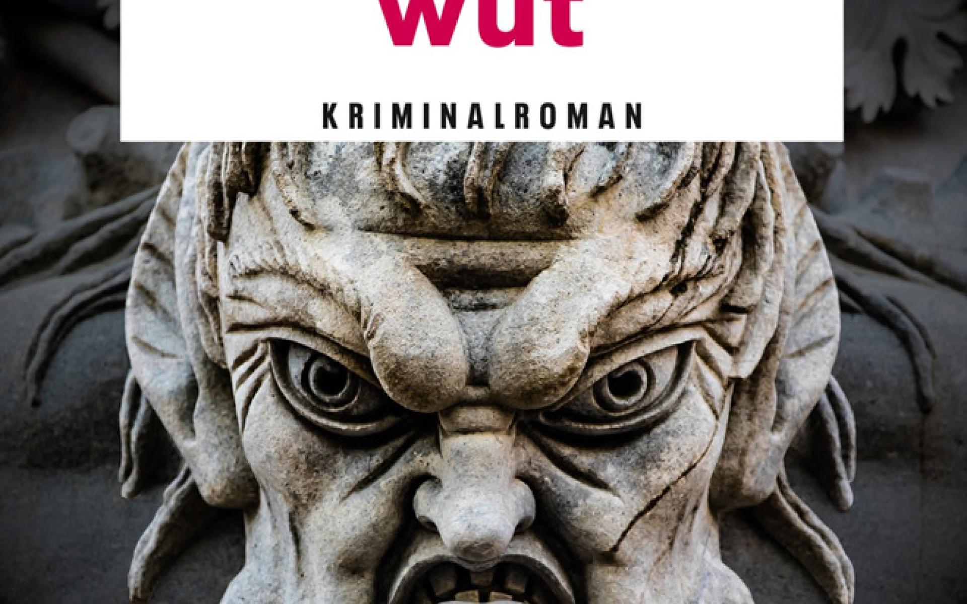 Buchcover Manfred Baumann Salzburgwut