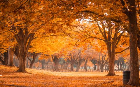 Sysmbolbild:Herbst